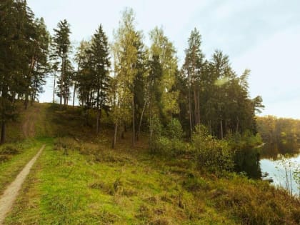 Проблемы загрязнения воздуха в крупных городах России