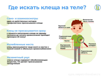 Более тысячи оренбуржцев покусали клещи