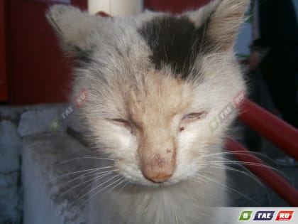 С середины недели жара начнет спадать