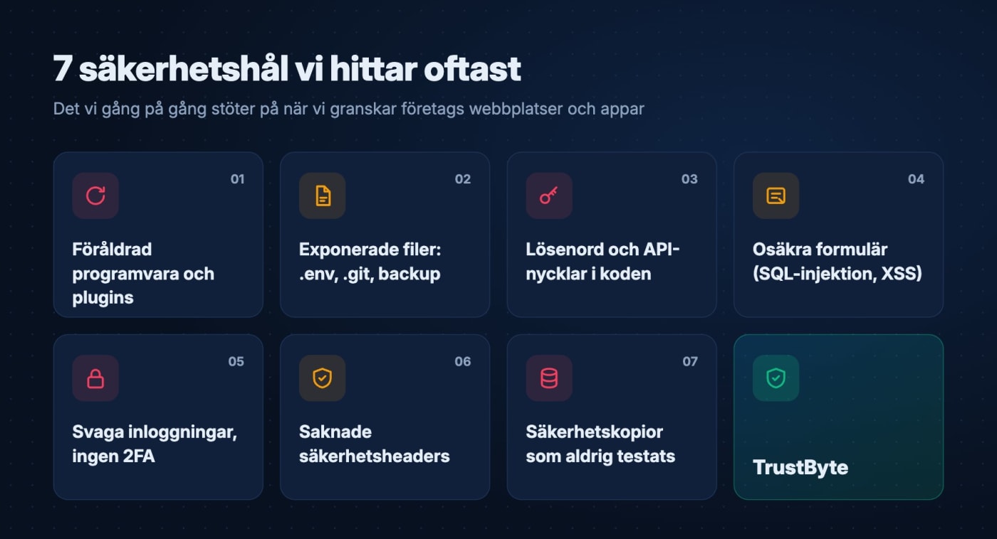 De 7 säkerhetshål TrustByte oftast hittar på företags webbplatser