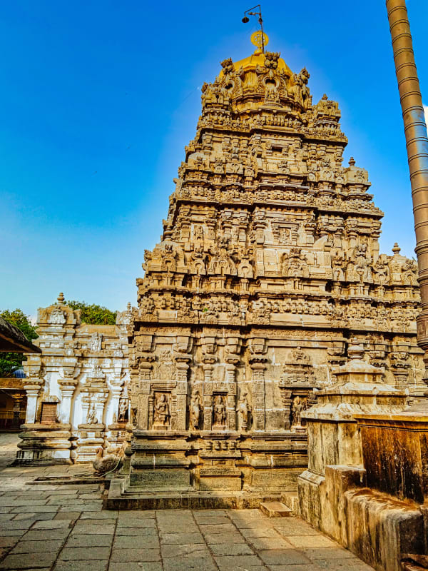 Sri Kurmam (Kurmanathaswamy) Temple, Srikurmam