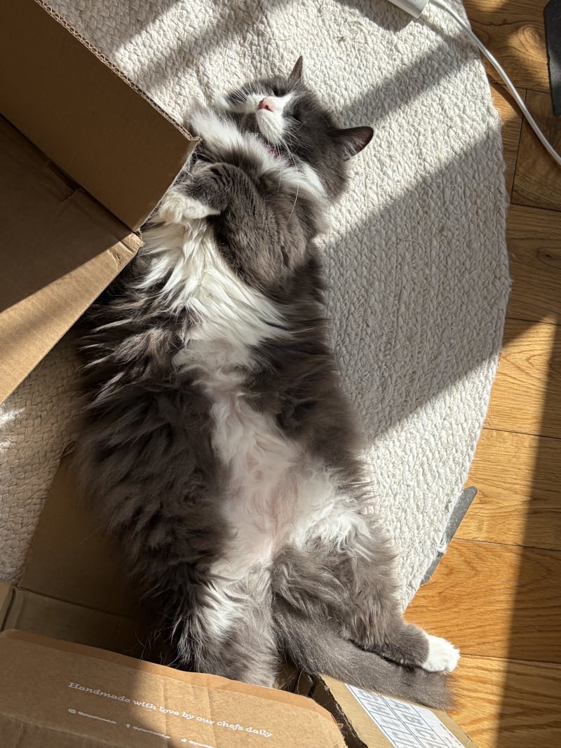 Fig