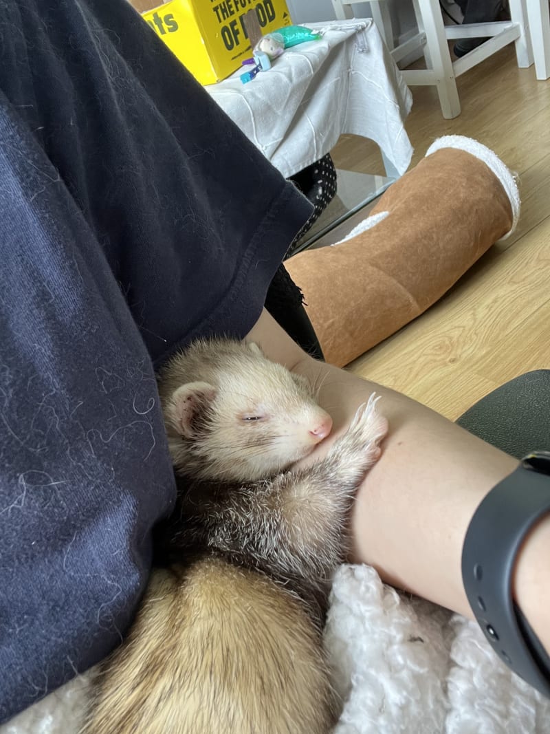 Peek
