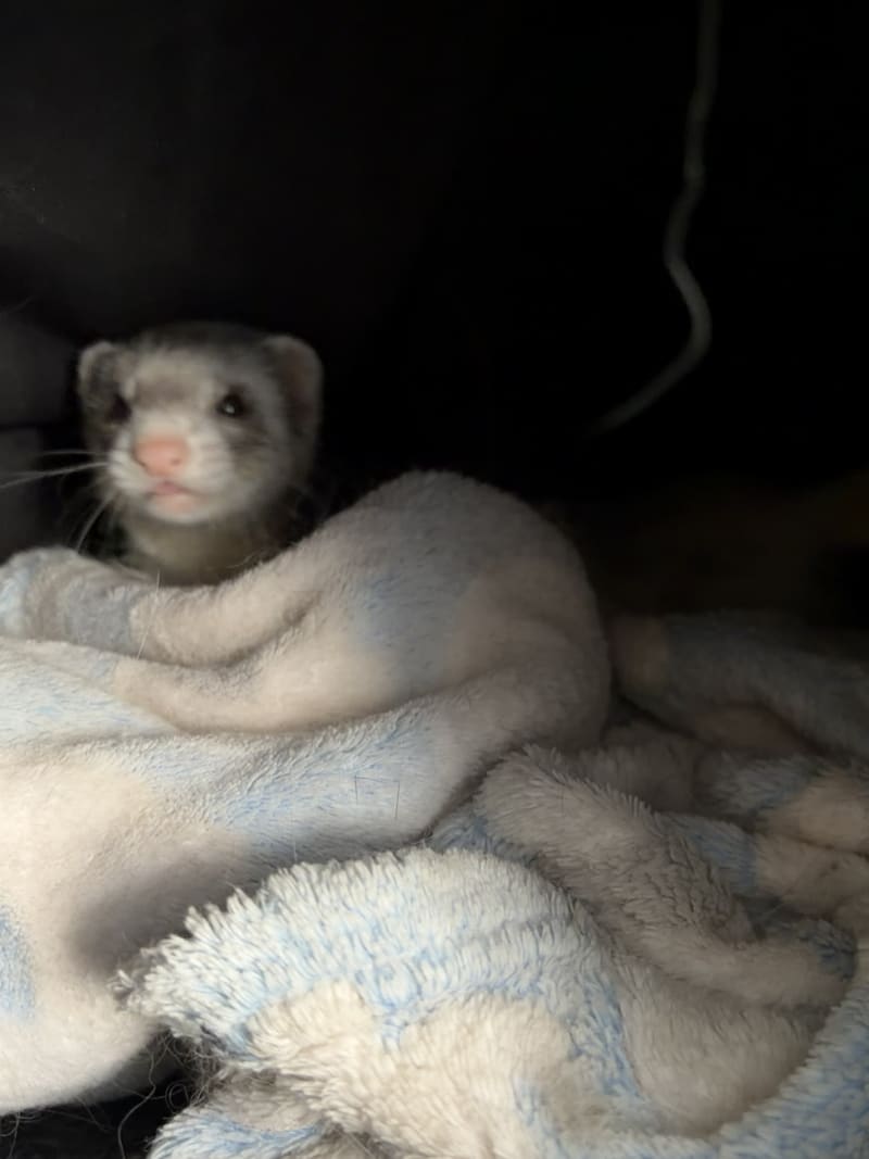 Peek