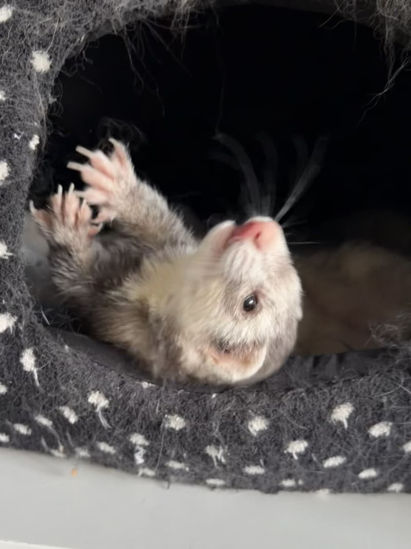 Peek