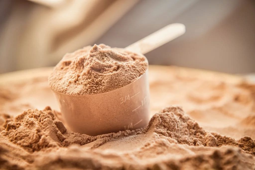 Hangi Protein Tozunu Almalıyım?