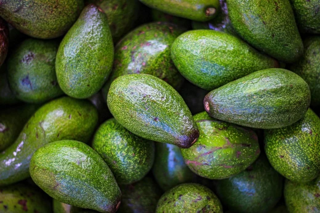 Avokado Faydaları Nelerdir? Ne İşe Yarar?