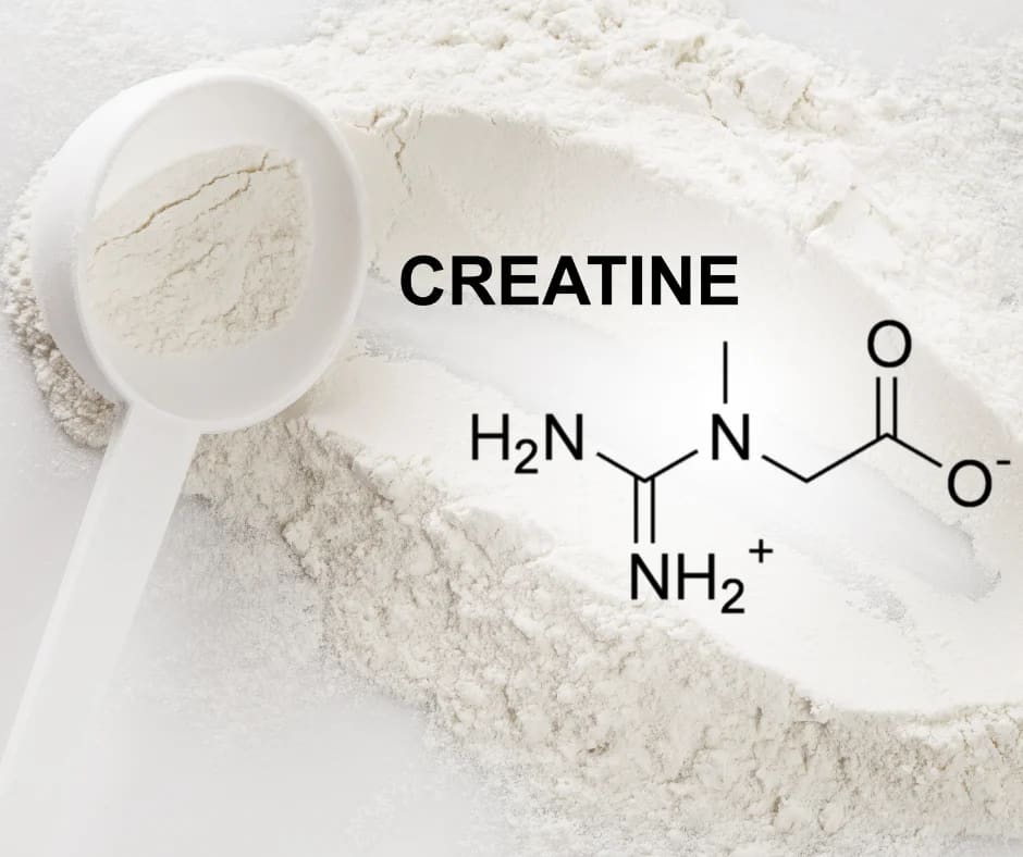 Kreatin Monohidrat Nedir?