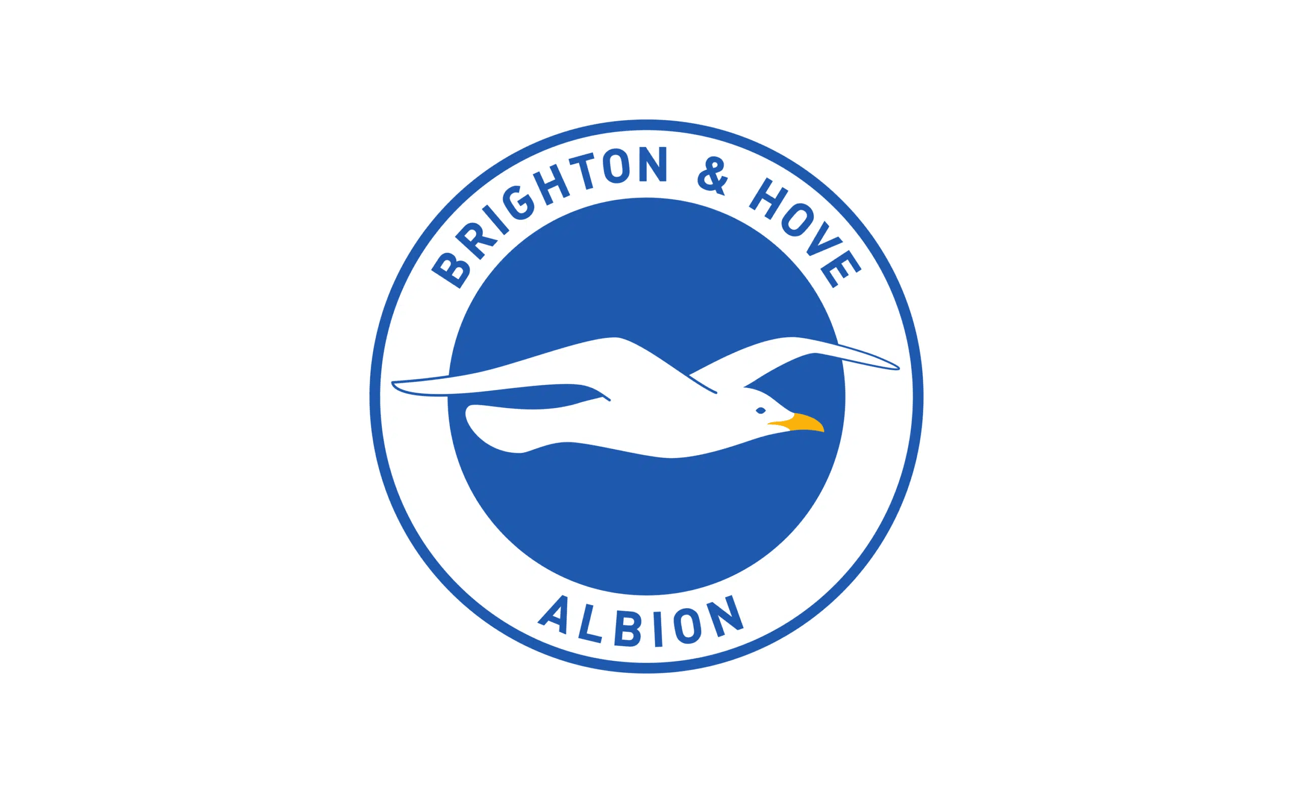 Brighton & Hove Albion Tarihi: Başarılar ve Parlak Yükseliş