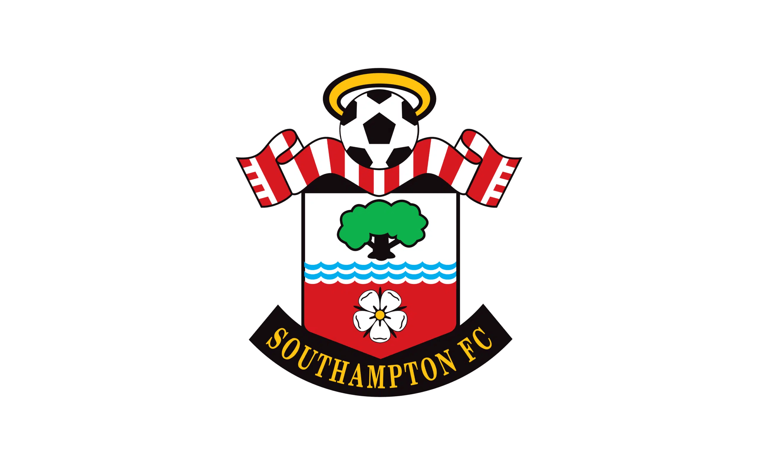 FC Southampton Tarihi: Başarılar ve Kulübün İzindeki Yolculuk