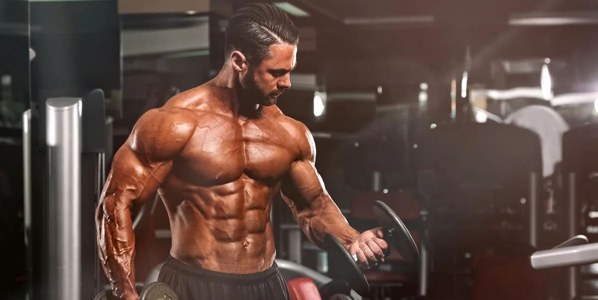 Definasyon Döneminde Nasıl Beslenilmeli? Nasıl Antrenman Yapılmalı?
