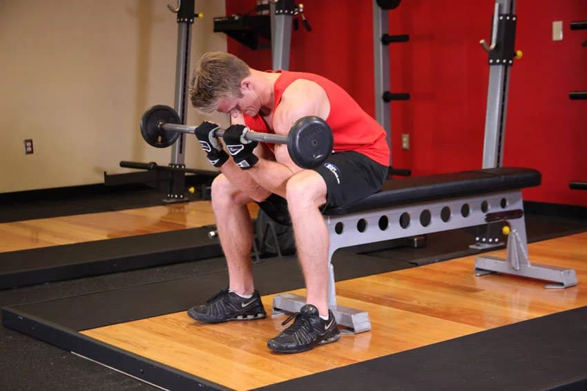 Barbell Concentration Curl