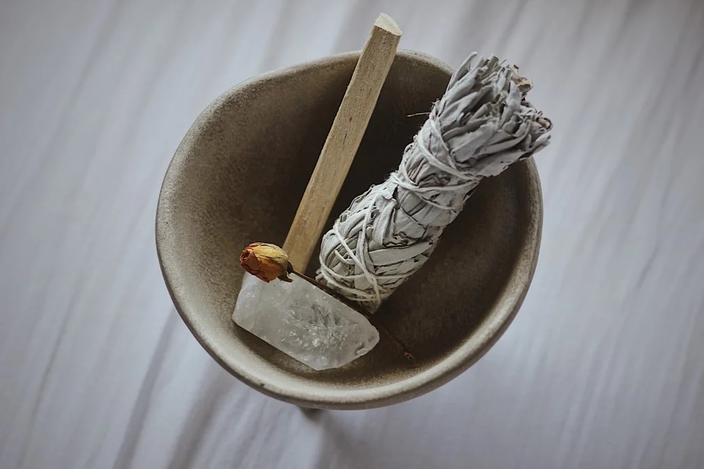 Adaçayı (Salvia officinalis) Faydaları Nelerdir?
