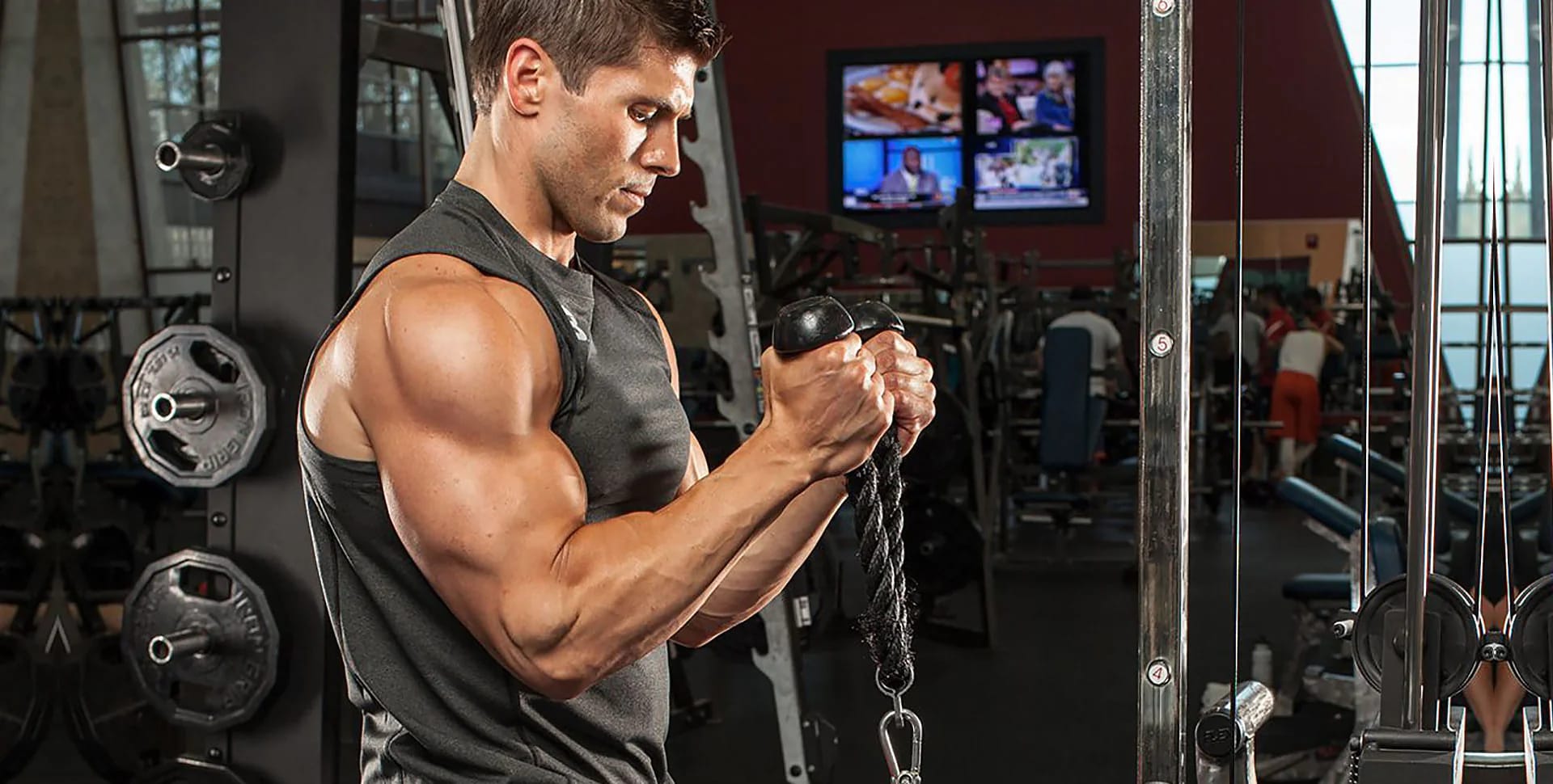 Cable Concentration Curl