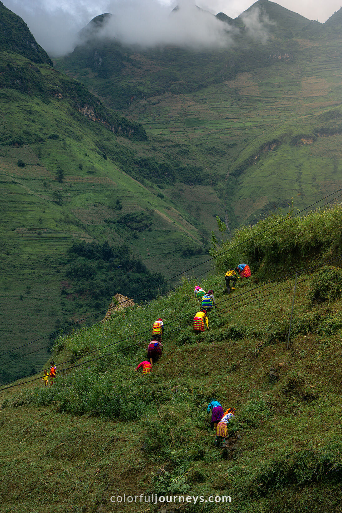 People work in the fields in Ha Giang, Vietnam