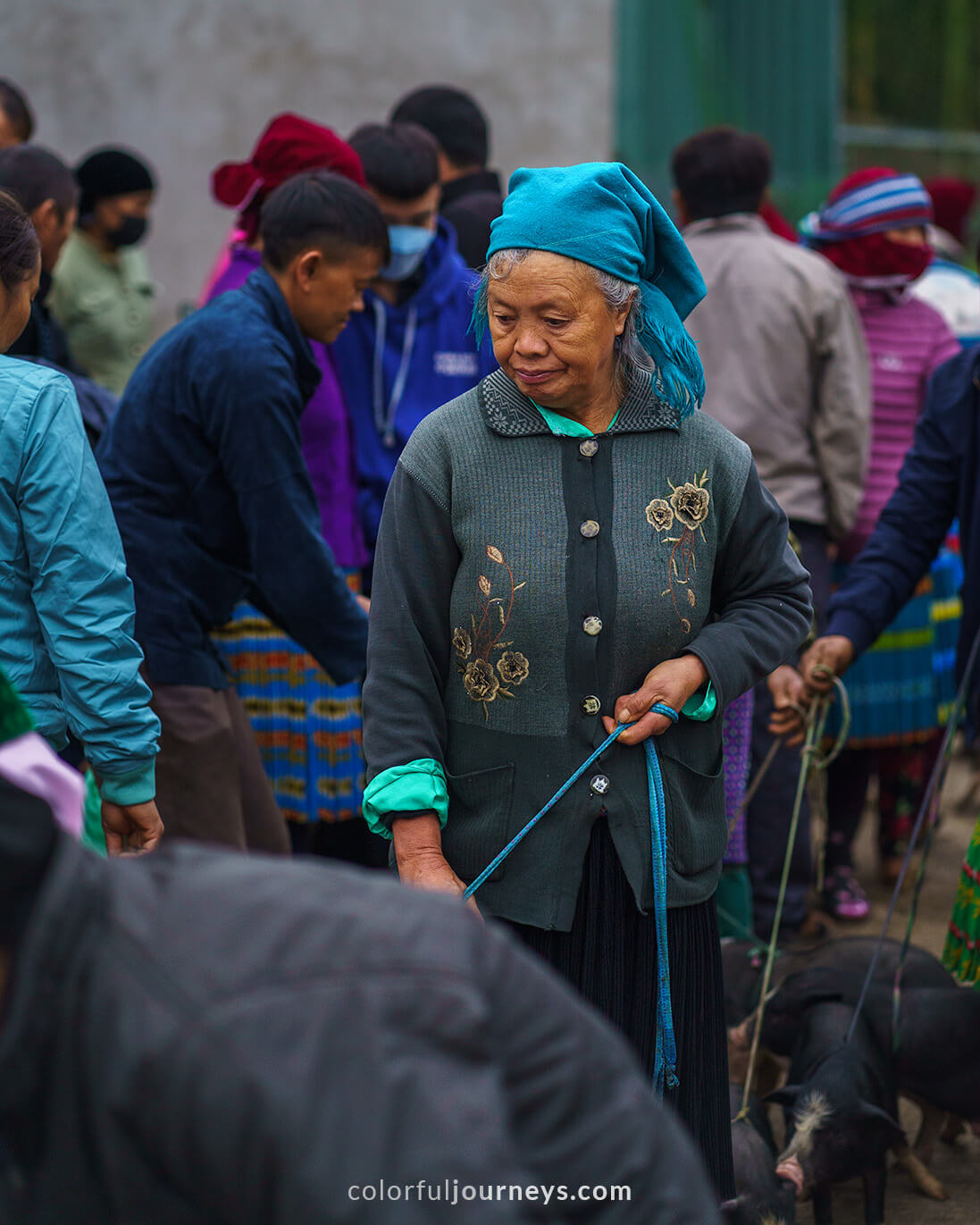 A woman sells piglets at Meo Vac Market, Vietnam