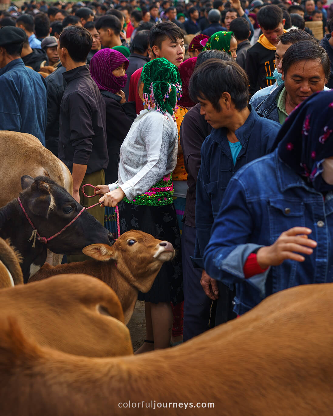 People and cattle gather at a square in Meo Vac Market, Vietnam