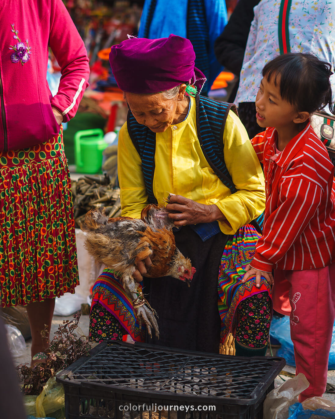 A woman sells chickens at Meo Vac Market, Vietnam