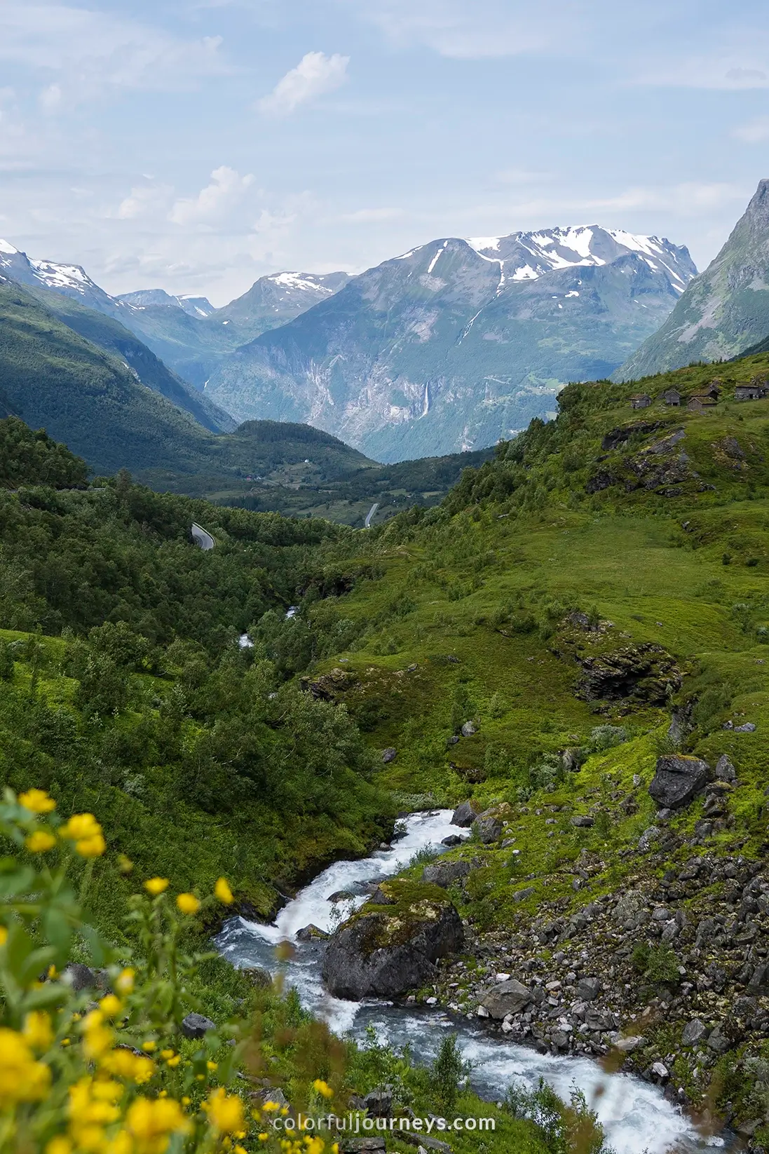 A creek flows through mountains with yelllow flowers in the foreground