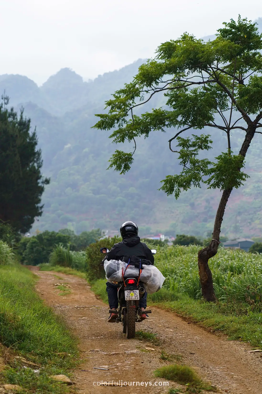 A motorbike rides on a road in Vietnam