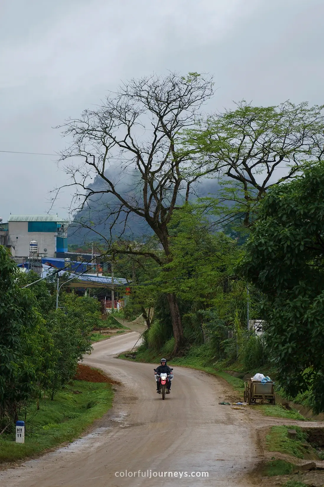 A motorbike rides on a road in Vietnam