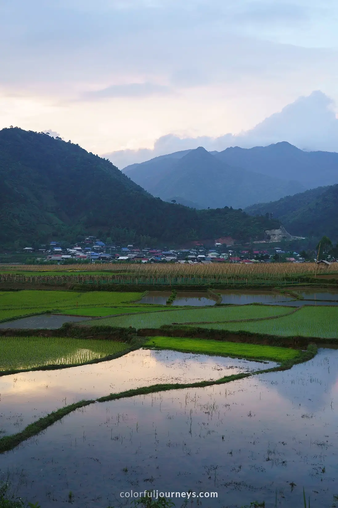 Flooded rice fields with mountains in the background, Ngoc Chien, Vietnam