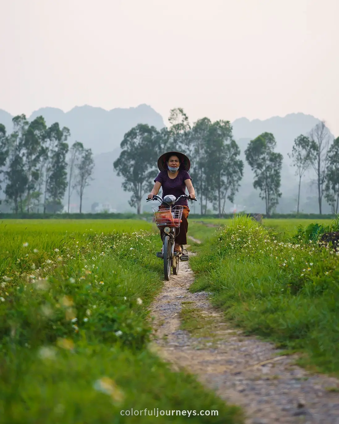 A woman rides a bicycle in Ninh Binh, Vietnam