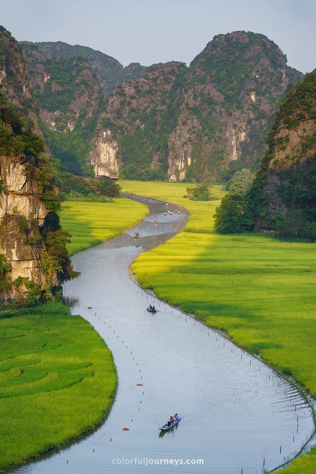 Rice-fields surounded by karst mountains in Ninh Binh, Vietnam