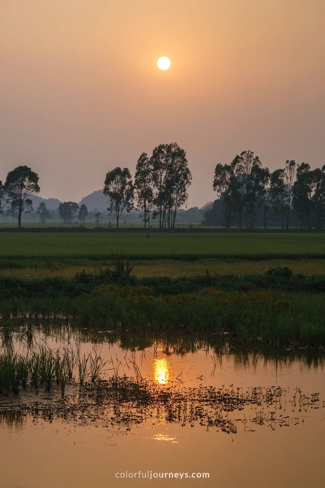 The sun sets bheind a row of trees in Ninh Binh, Vietnam