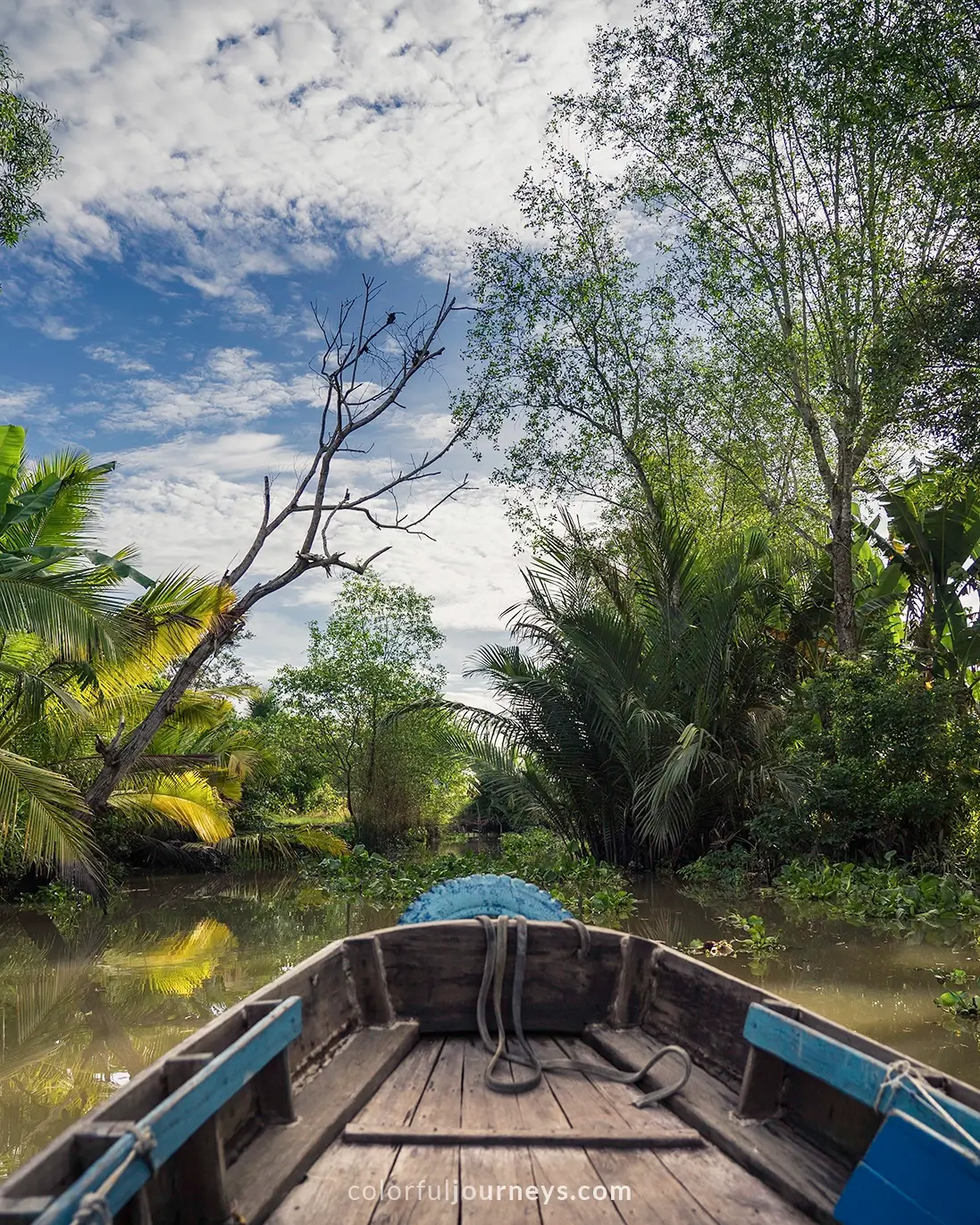 A boat in small waterways in the Mekong Detla, Vietnam