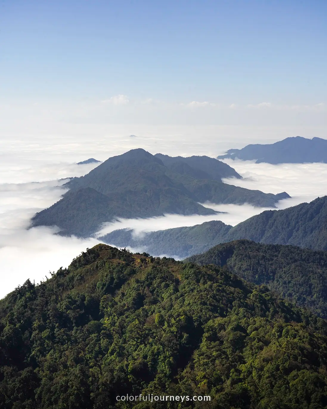 A mountain range covered in a blanket of clouds.