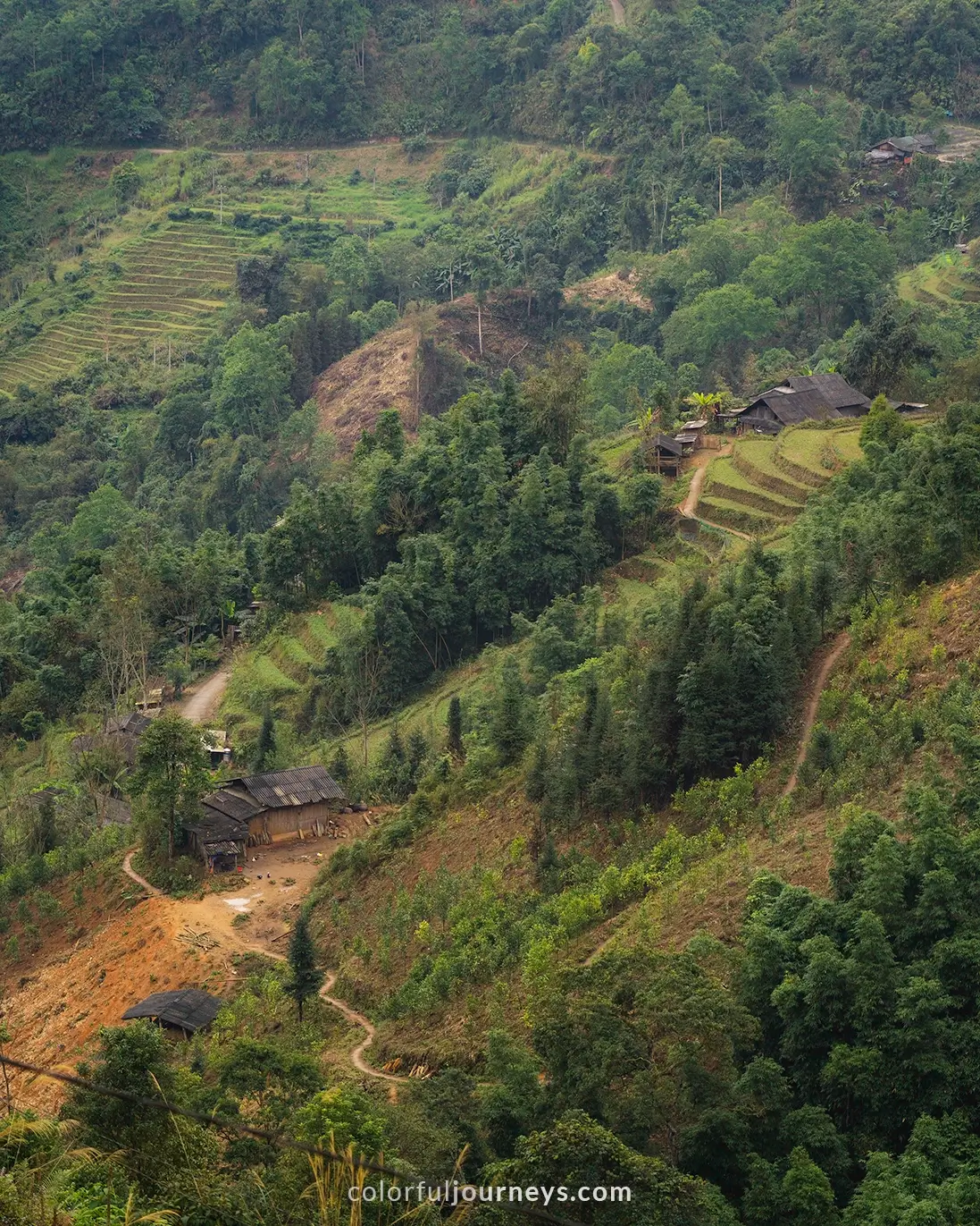 Rice paddies surrounded by lush forest in North Vietnam.