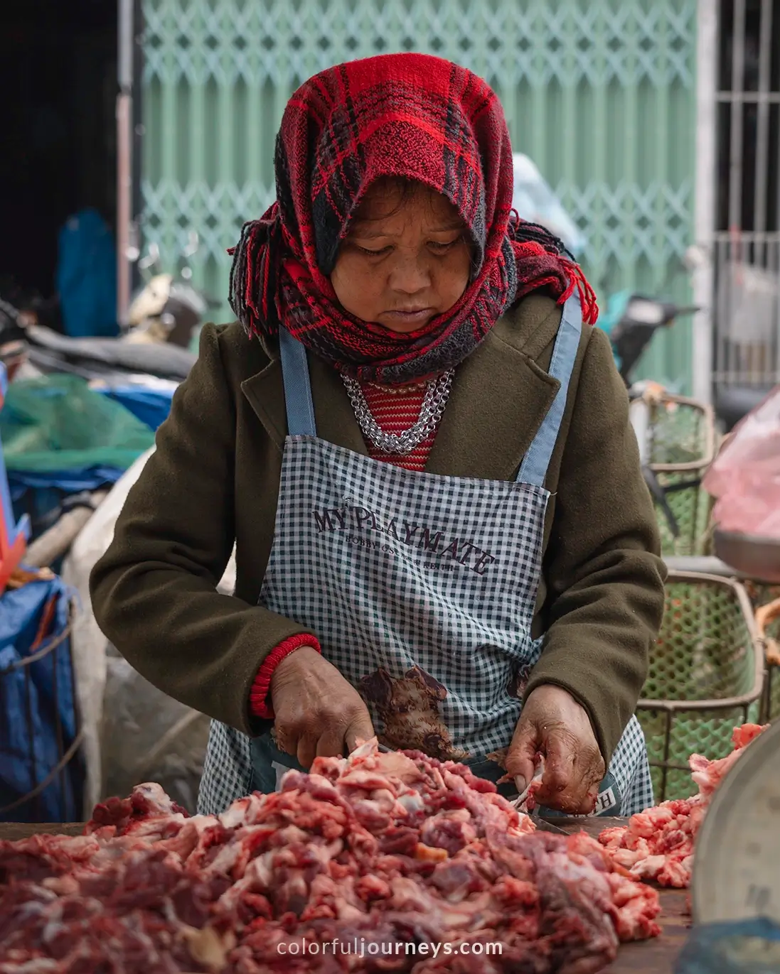 A woman sells meat at Bac Ha market, Vietnam