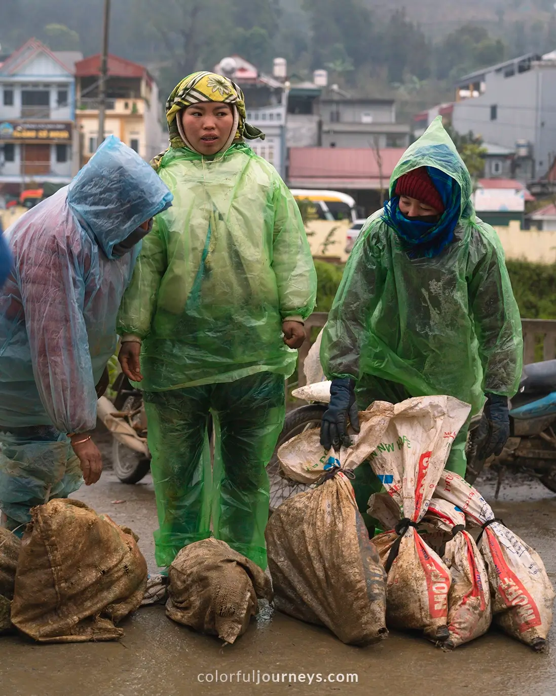 Women sell pigs at a Bac Ha market, Vietnam