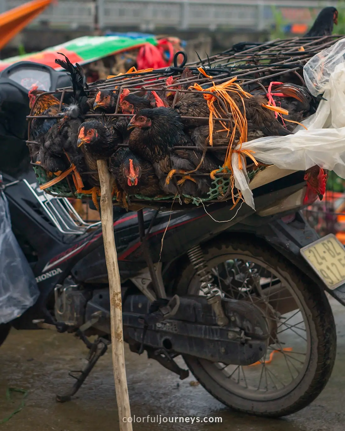 A cage with chickens on the back of a motorbike at Bac Ha market, Vietnam