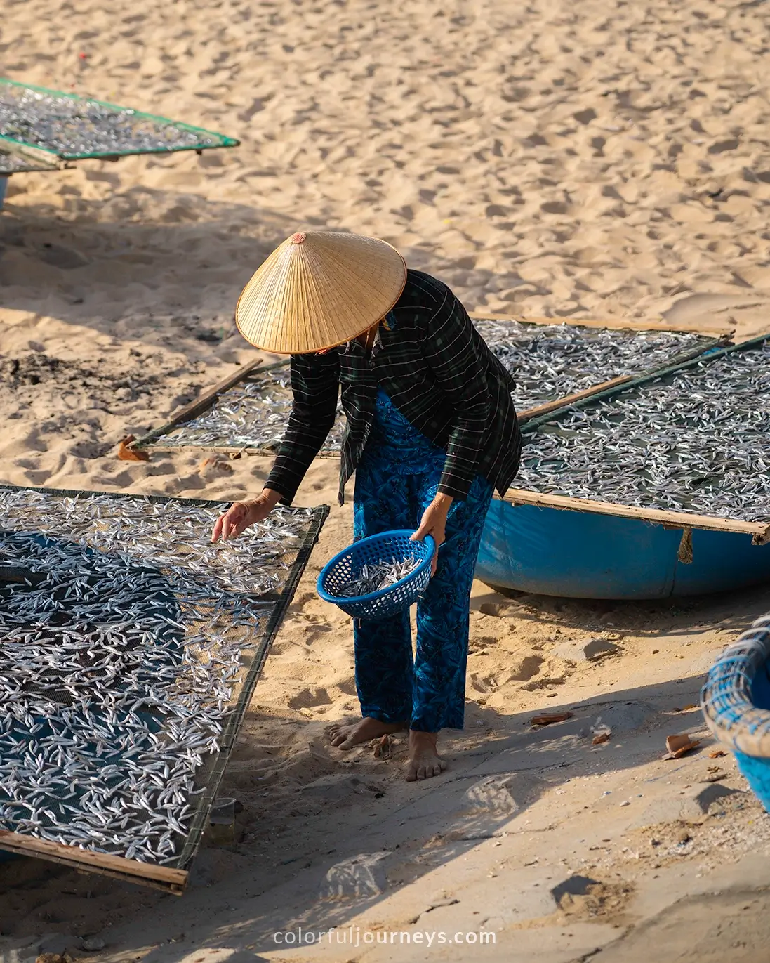 A woman lays fish to dry at a beach in Nhon Hai, Vietnam