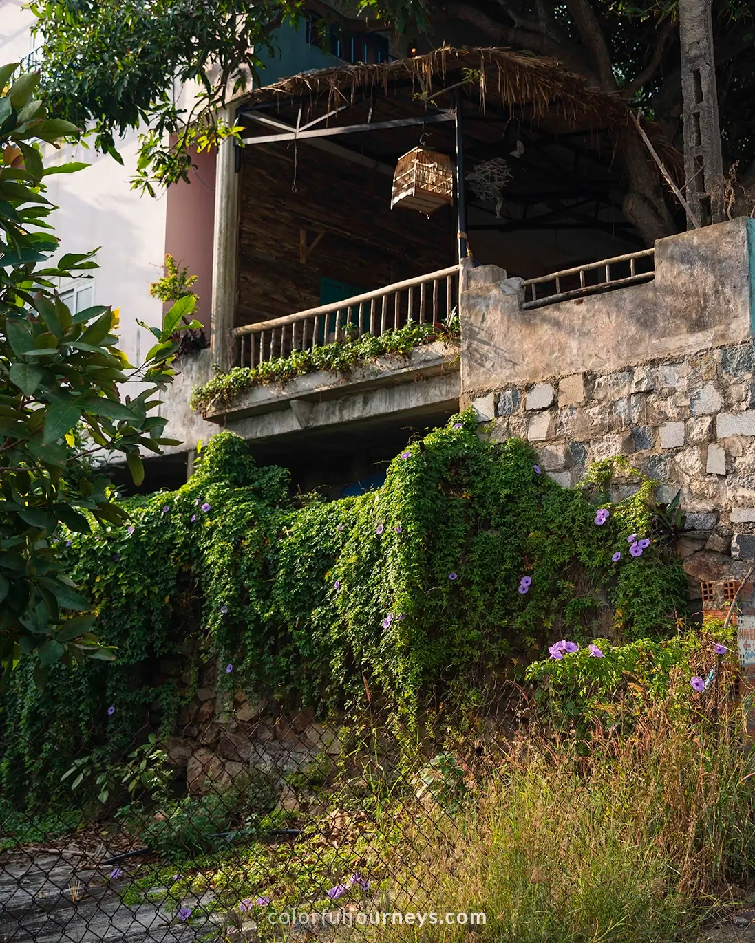 An overgrown house in Quy Nhon, Vietnam