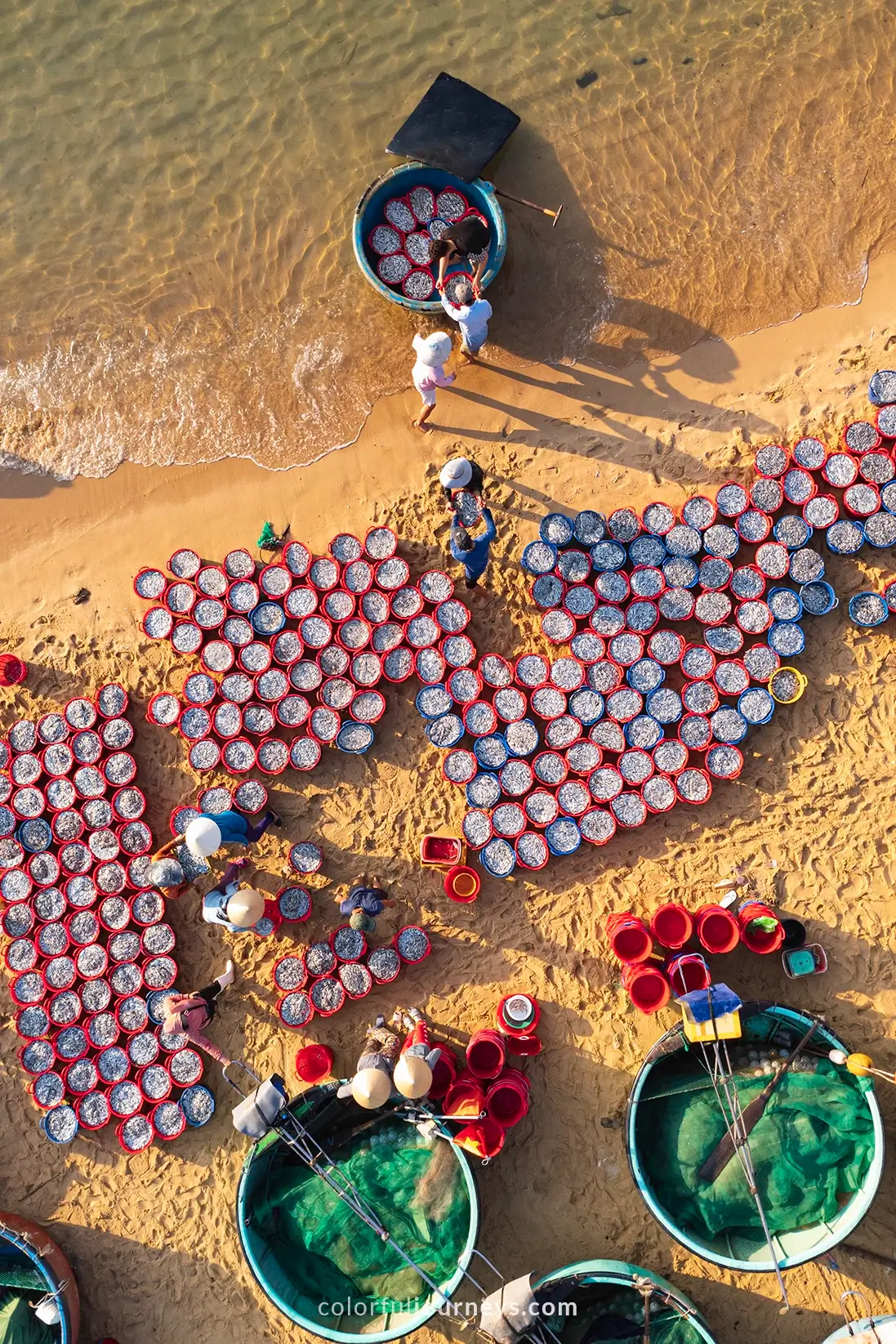 Countless buckets filled with fish at a fish market in Quy Nhon, Vietnam