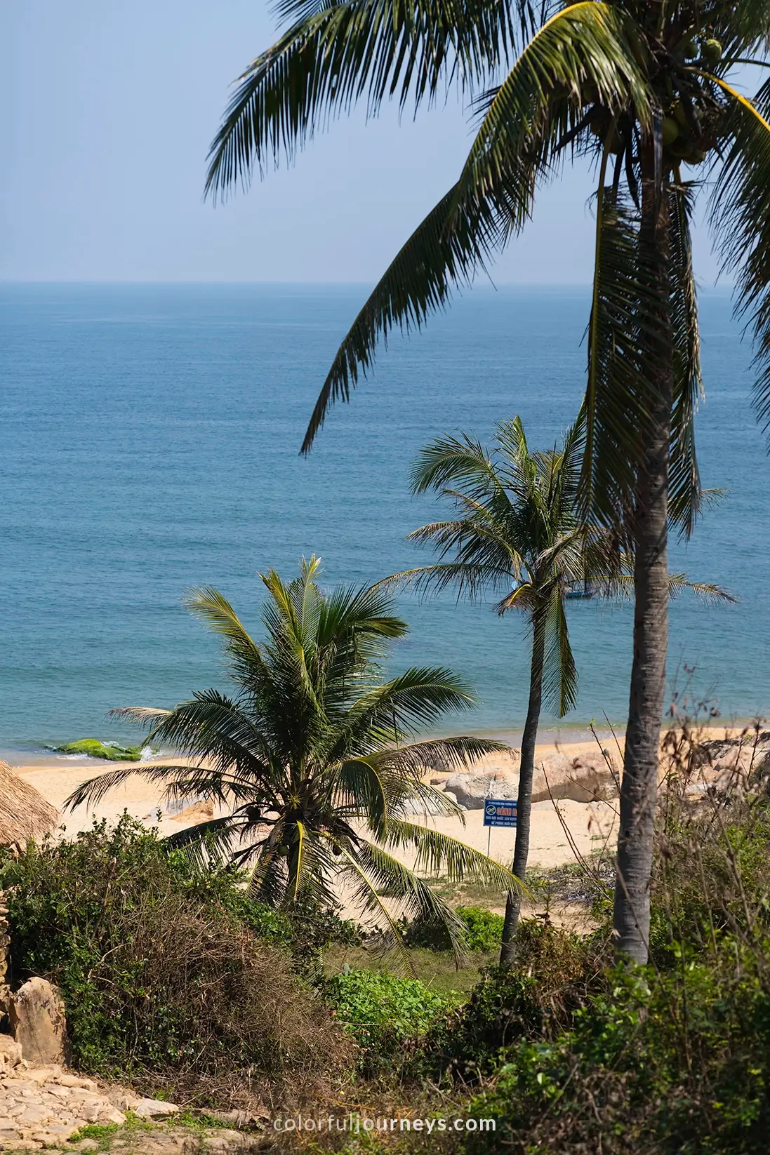 Palm trees with the ocean in the background in Lang Go Co, Vietnam