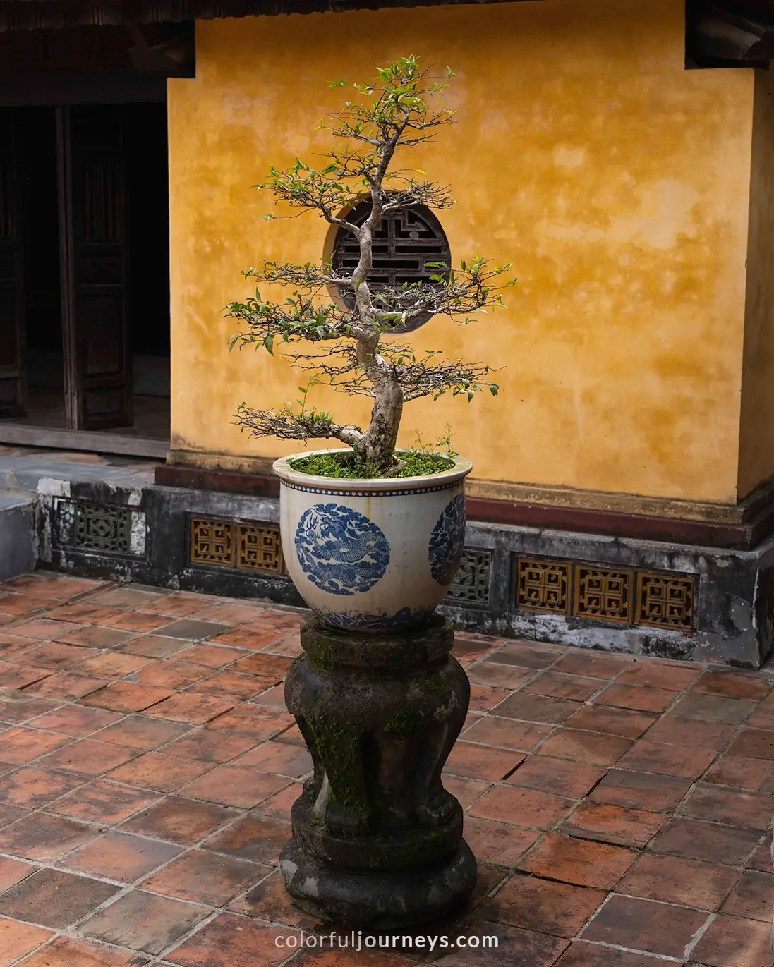 A bonsai tree at Dong Khanh Mausoleum in Hue, Vietnam