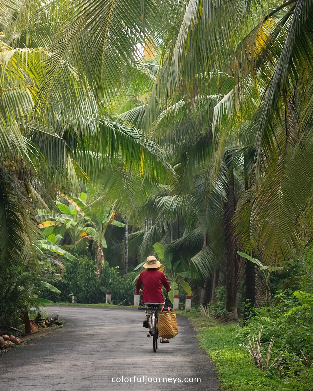 A woman rides her bicycle through Ben Tre's backroads.
