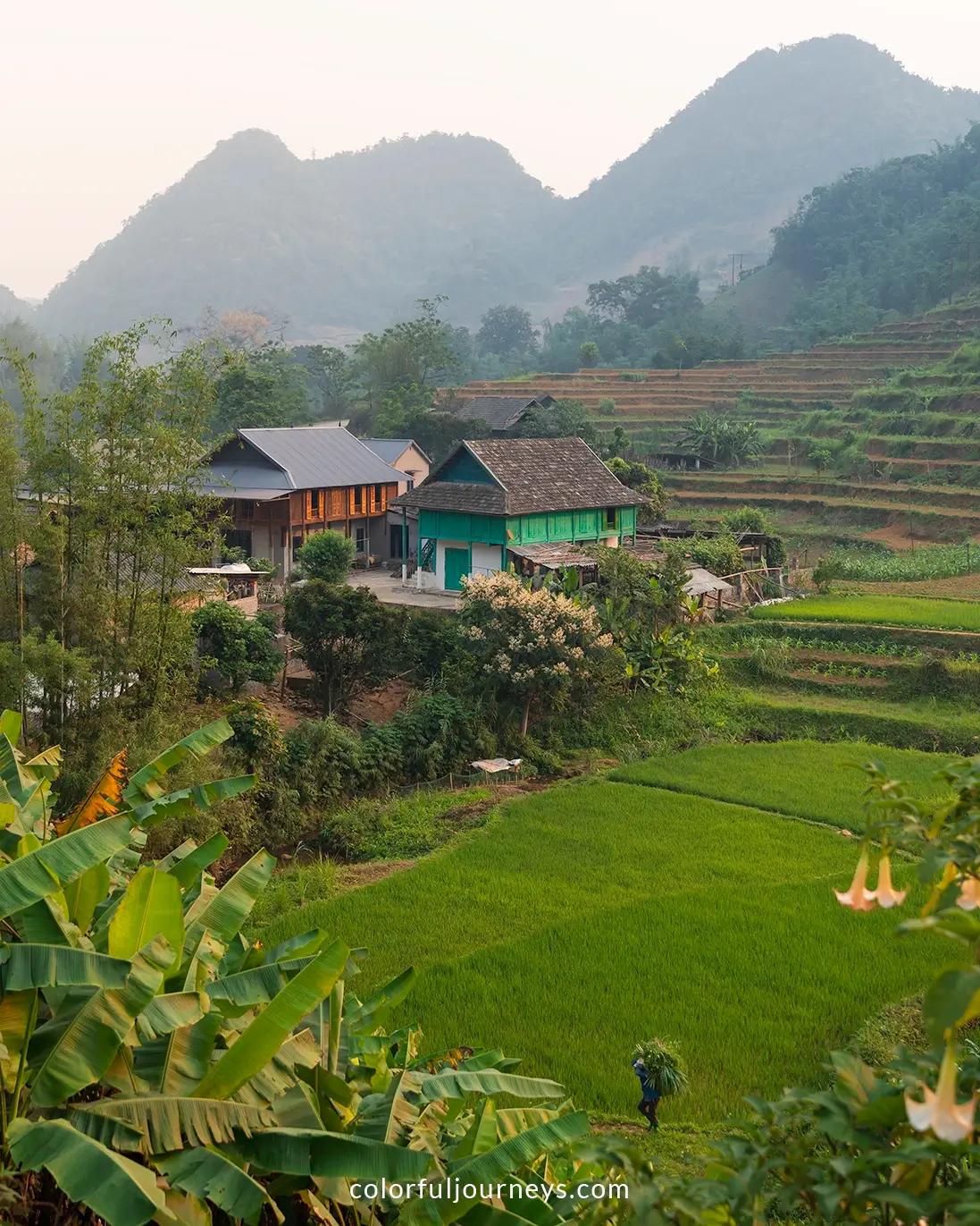 Pu Bin village in Vietnam surrounded by ricefields