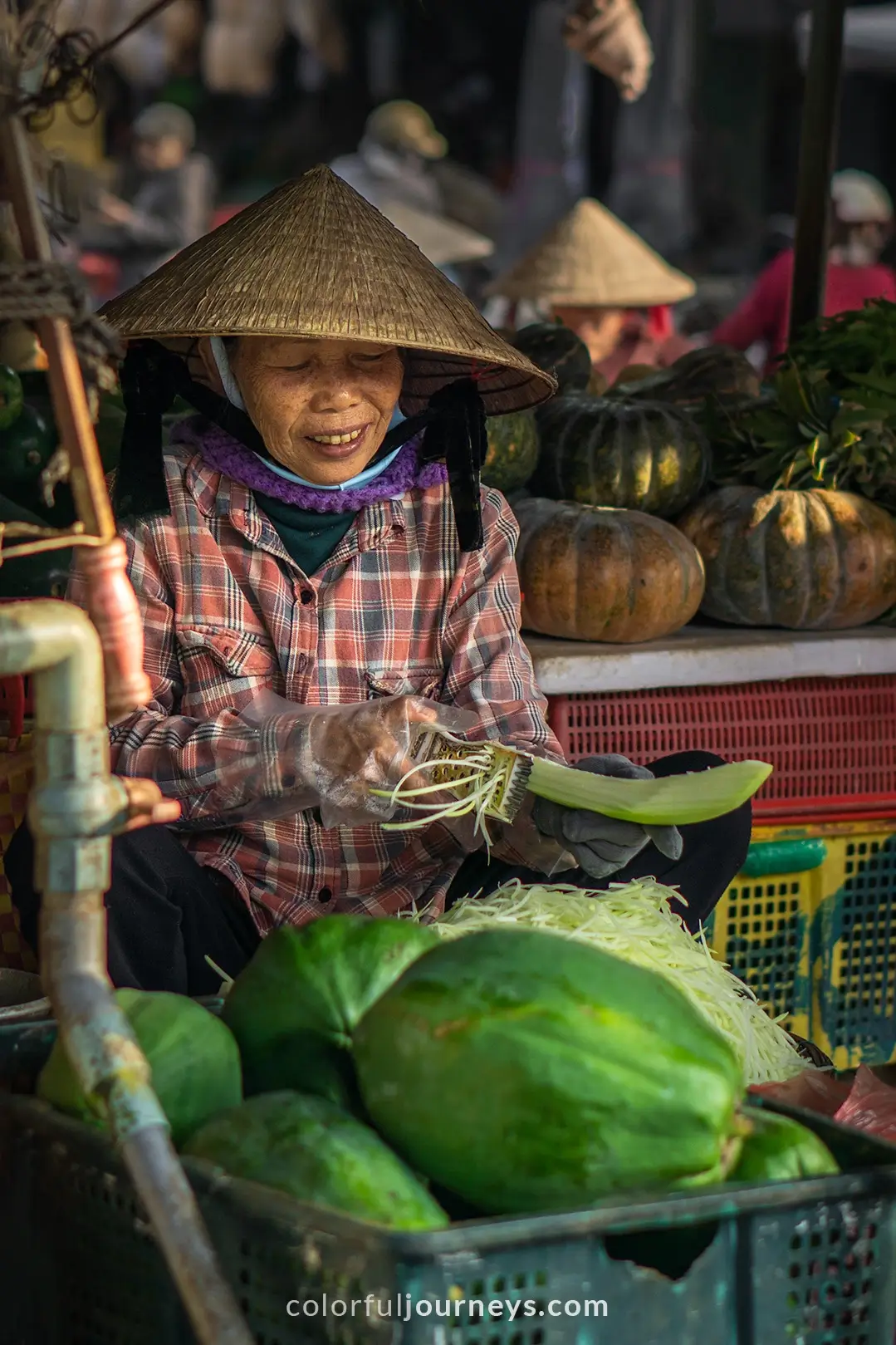 A market in Hoi An, Vietnam