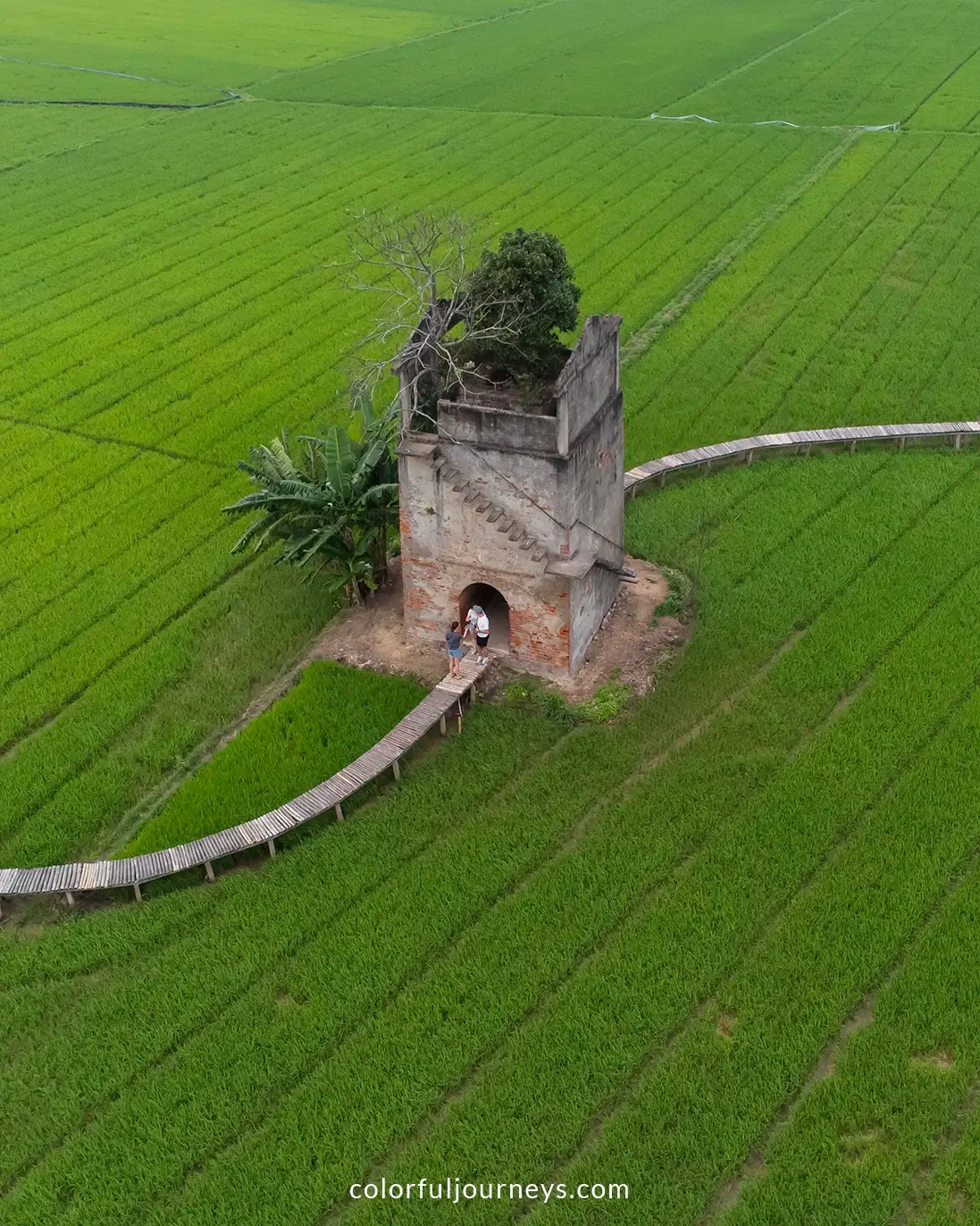 A brick tower surrounded by rice paddies in Hoi An, Vietnam