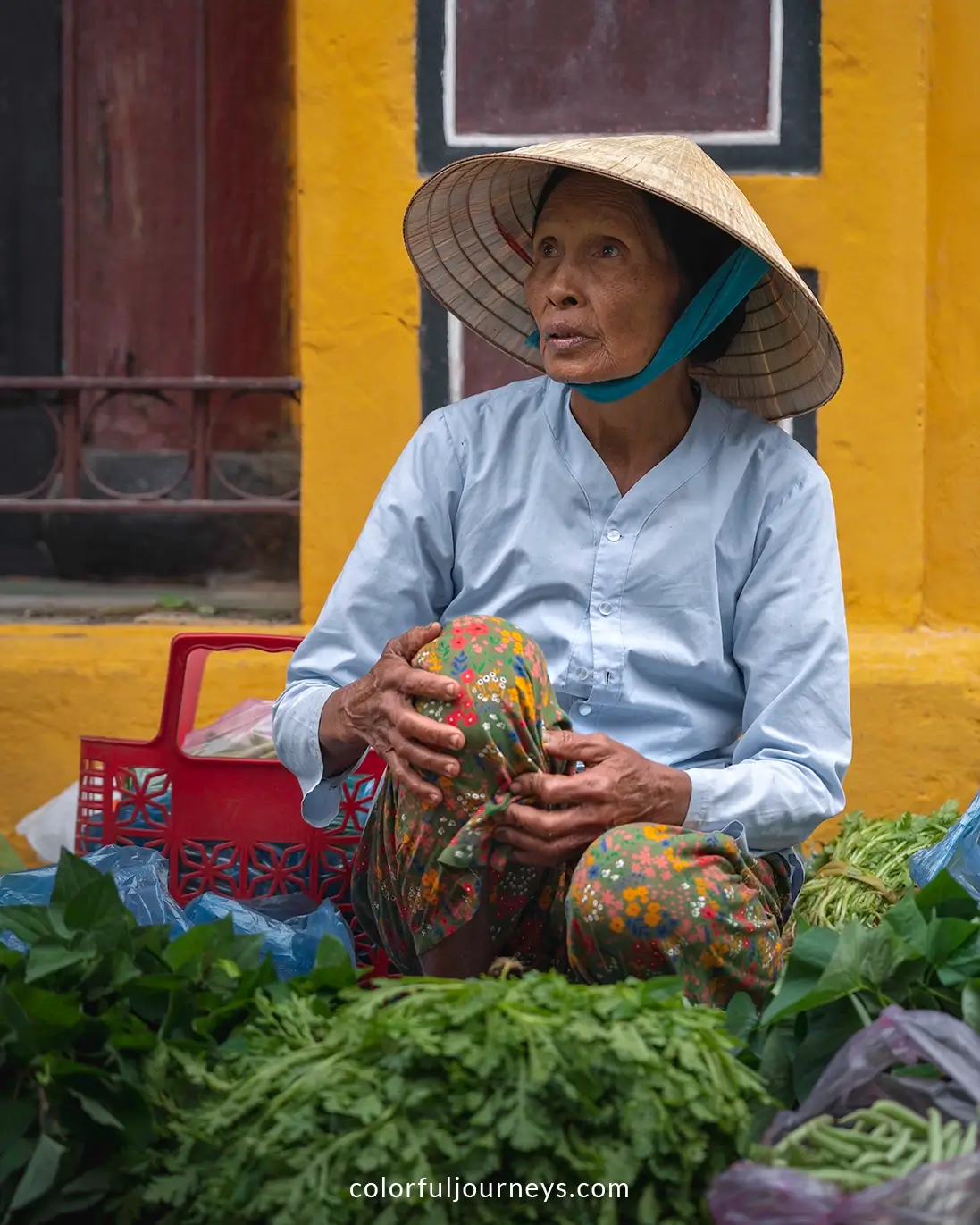A woman wearing a conical hat in Hoi An, Vietnam