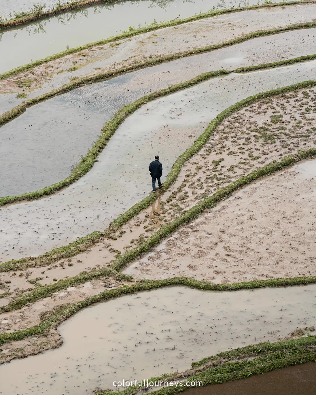 A man walking through rice paddies in northern Vietnam