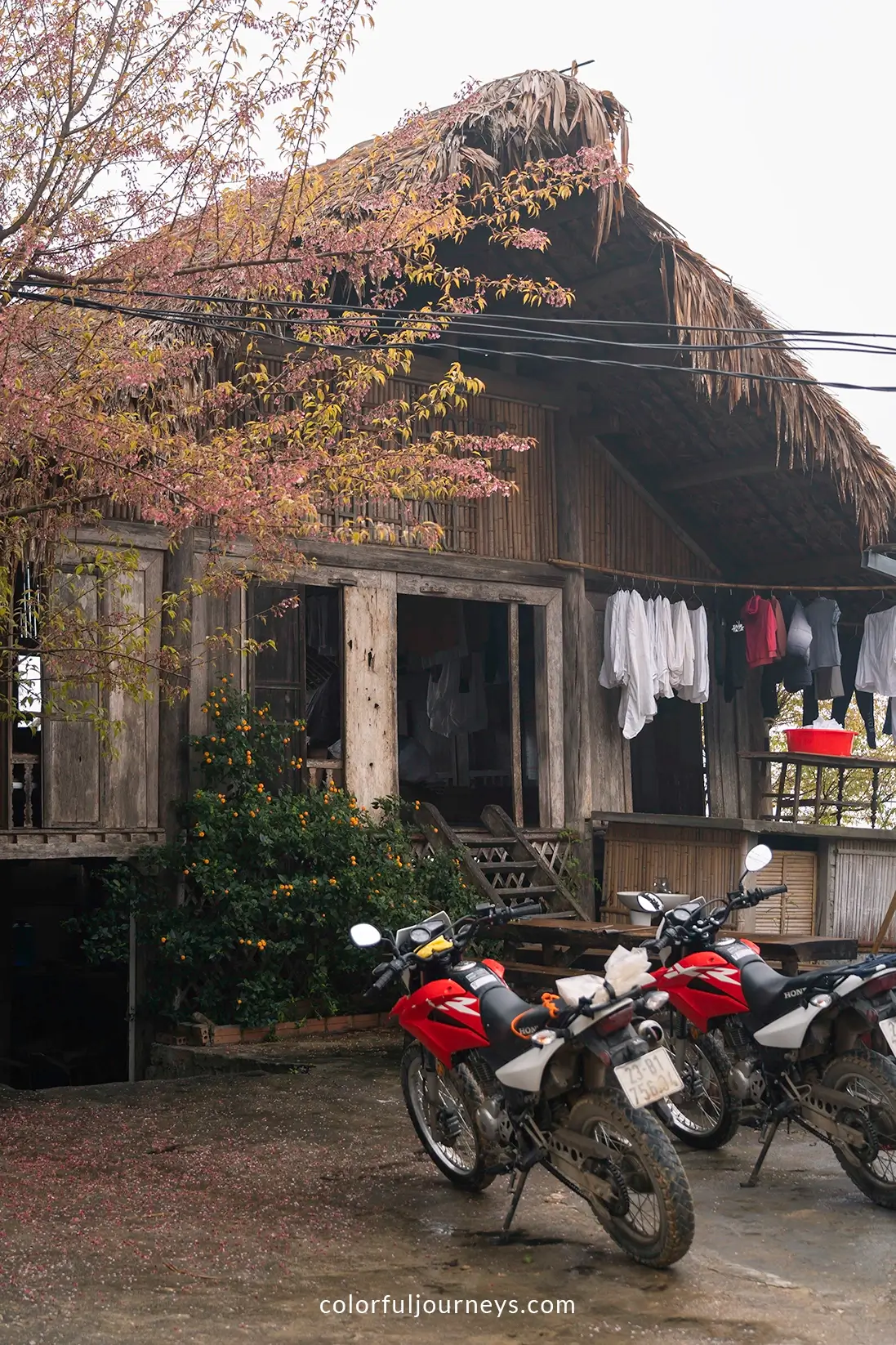 Motorbikes in front of a homestay in northern Vietnam