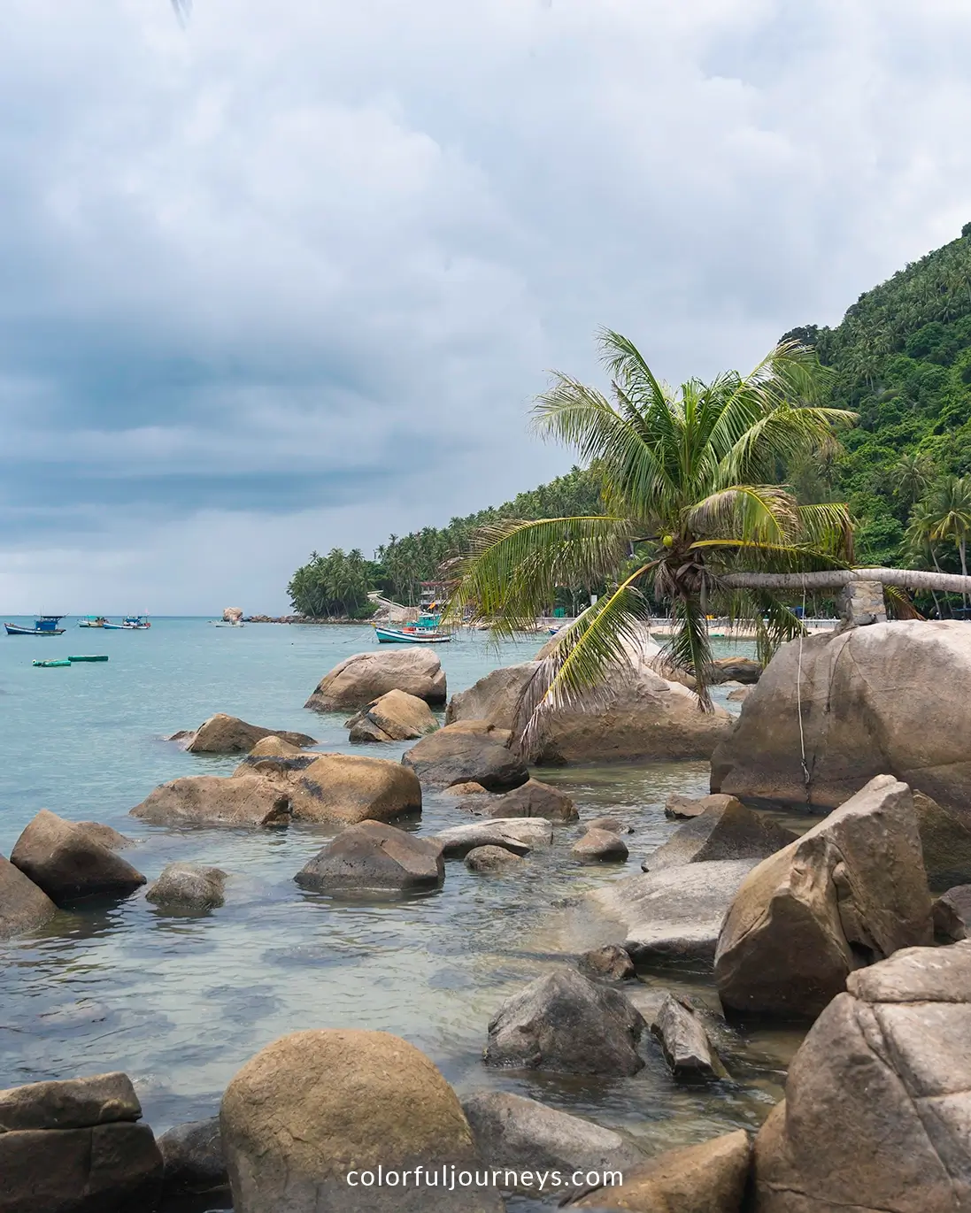 Rocks and palm trees on the coastline of Hon Son Island, Vietnam