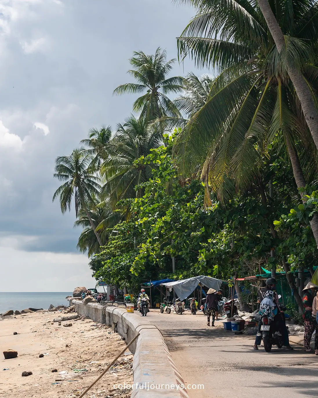 A road past palm trees on Hon Son Island, Vietnam