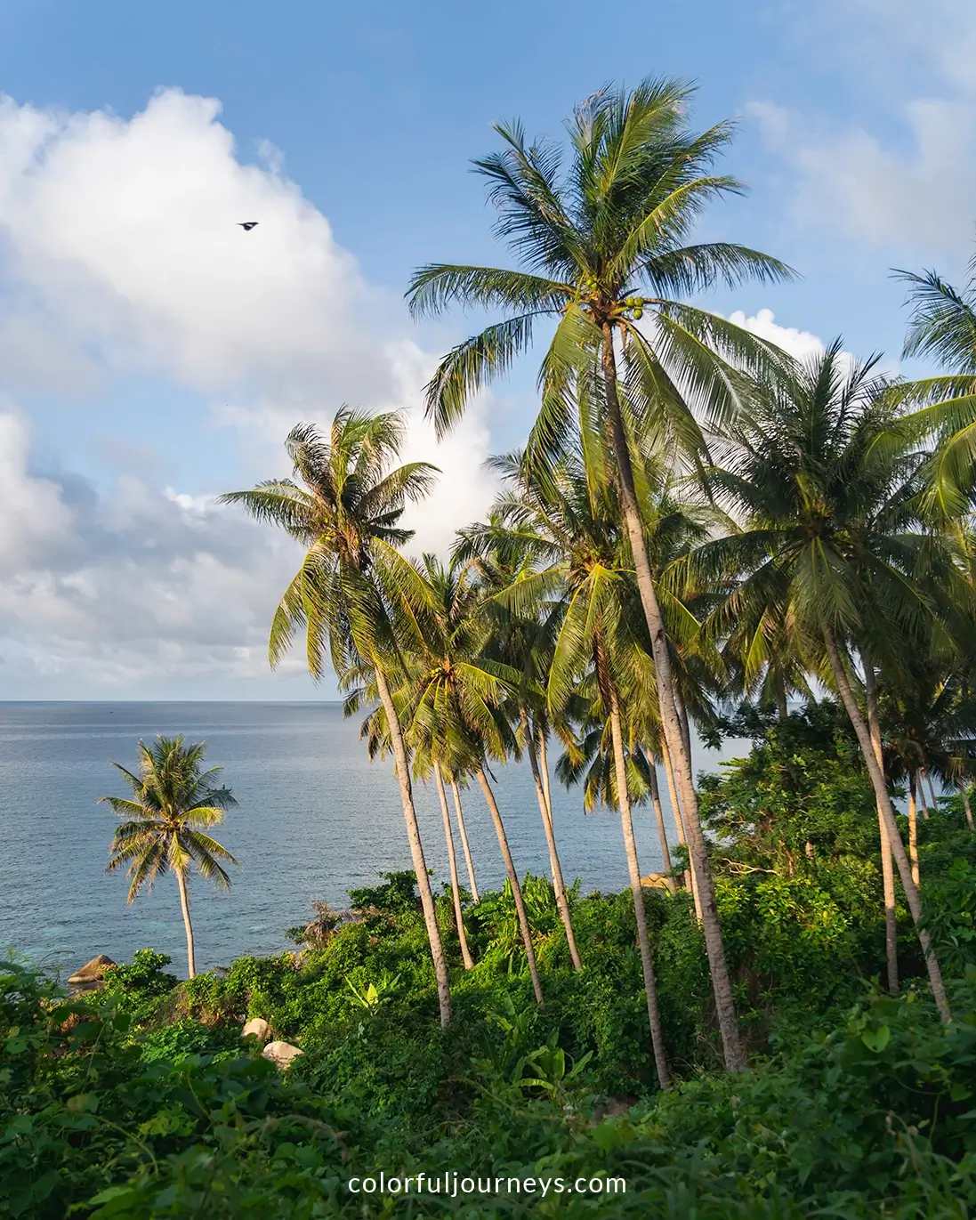Palm trees on Hon Son Island, Vietnam